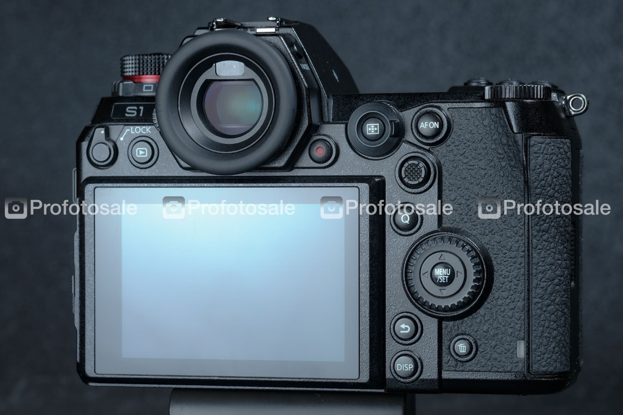 Фотоапарат Panasonic Lumix DC-S1