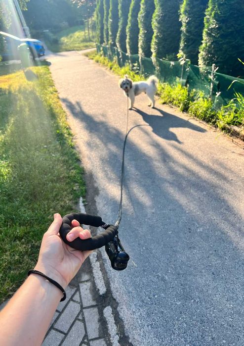 Czerwona Smycz Dla Psa Treningowa 5m Odblaskowa Mocna