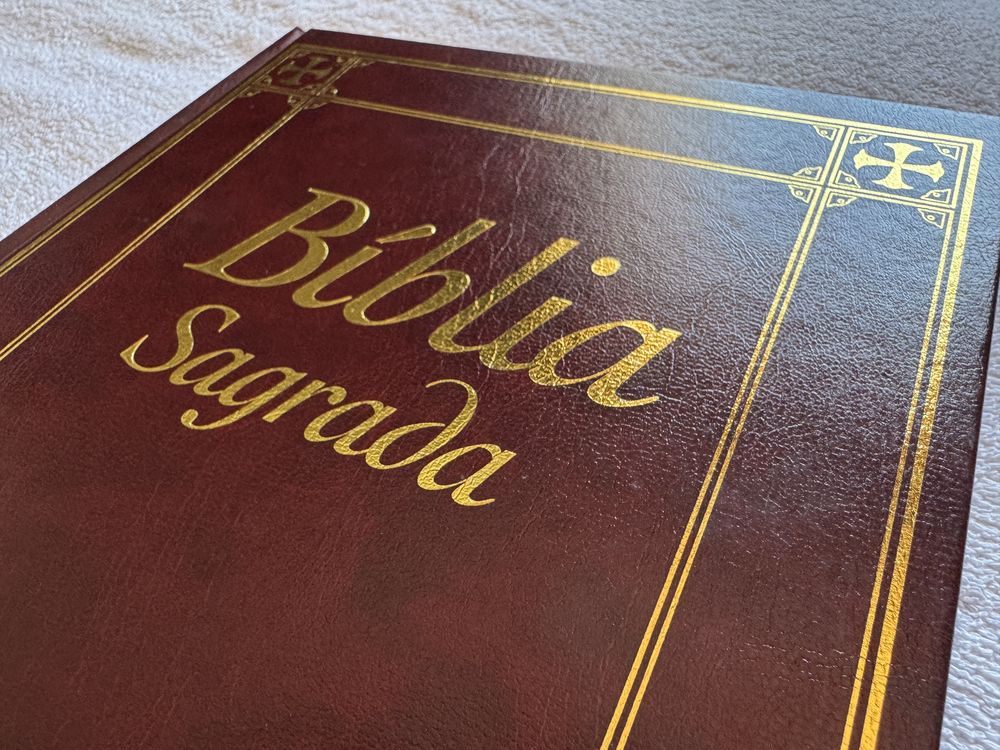 Biblia Sagrada (ilustrada)