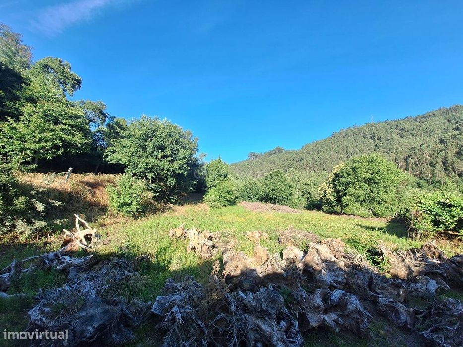 Terreno à Venda em Tropeço, Arouca