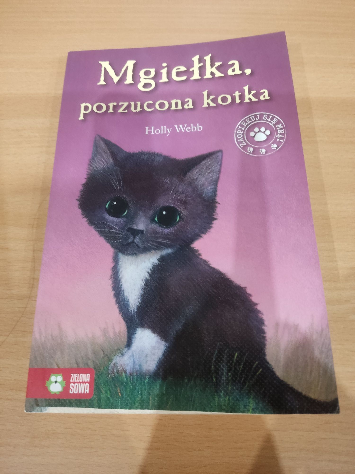 Książka dla dzieci Mgiełka, porzucona kotka Holly Webb