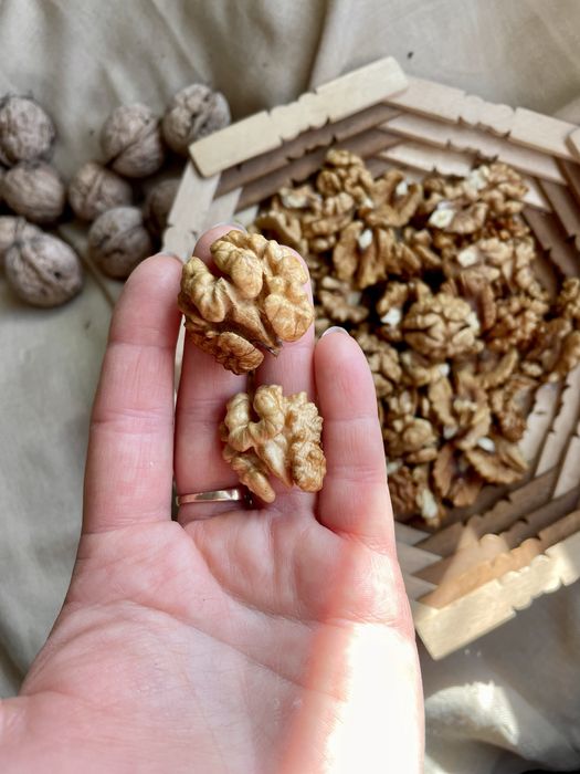 Волоські горіхи, грецькі, лущені горіхи