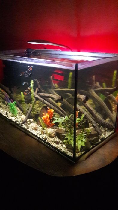 Продам акваріум 120л комплект