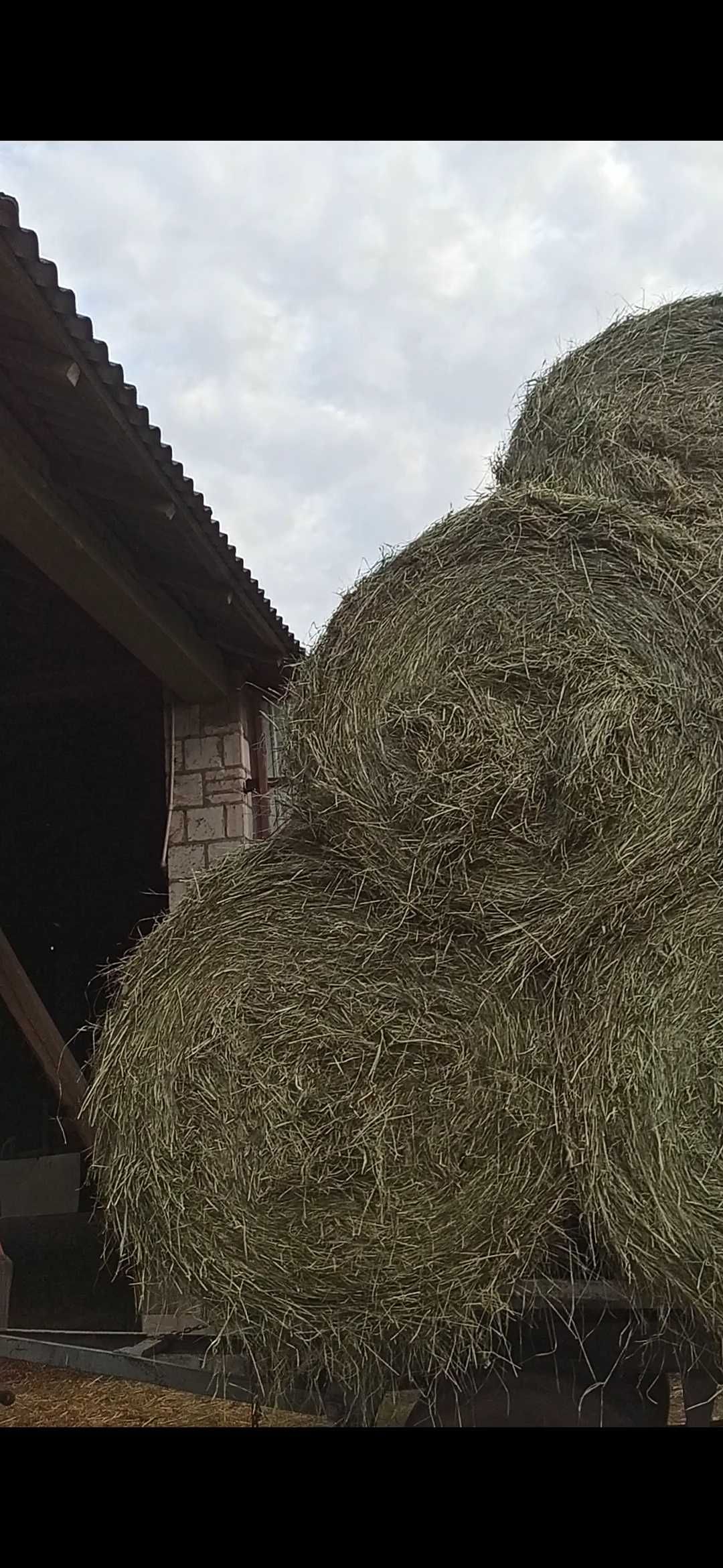 Sprzedam siano pierwszy i drugi pokos Łomża Zambrów Kolno