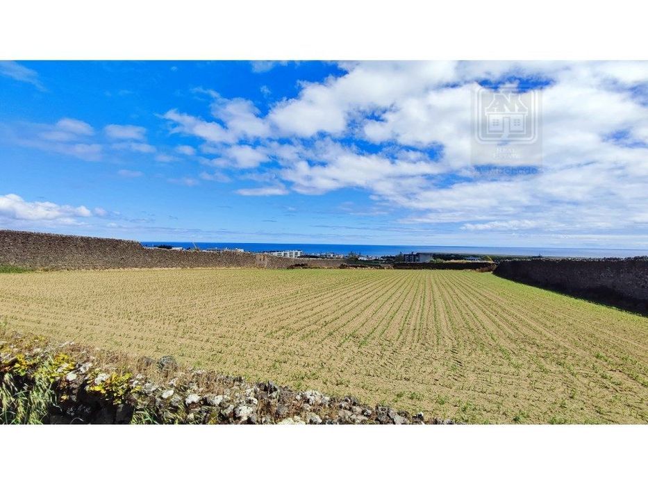 VENDA conjunta de 5 TERRENOS com potencial para construção em Ponta...