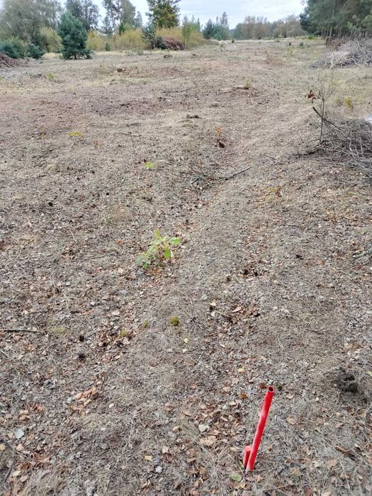 Sprzedam działkę  nr 405/5 1000 m2 Krusze gmina Klembów