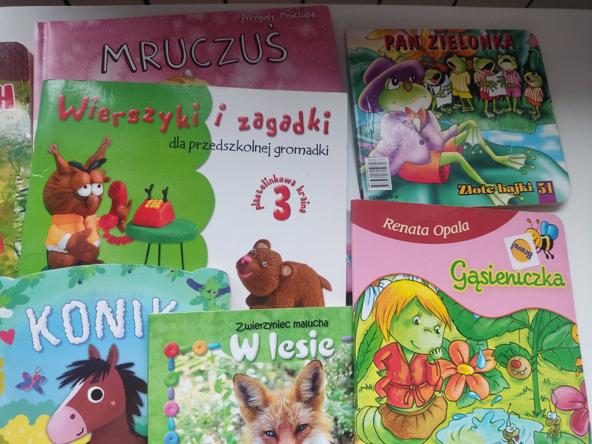 Książeczki i puzzle