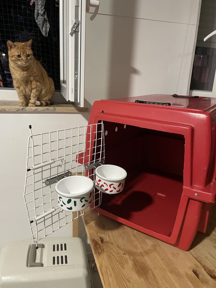 Caixa Transporte Pet Cão Gato Avião Padrão Iata Tamanho 4 N4