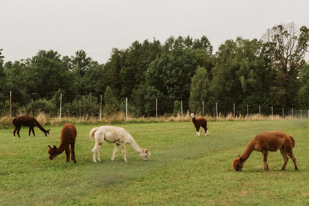 Domek na ferie w górach