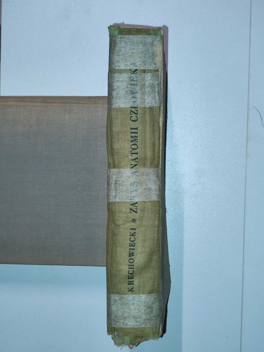 Zarys anatomii człowieka - Adam Krechowiecki