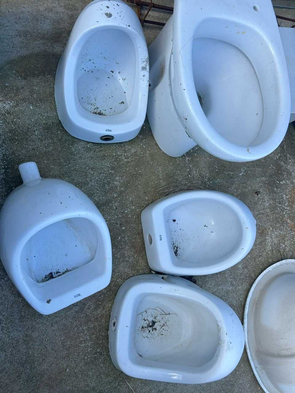 Sanitas e Urinóis