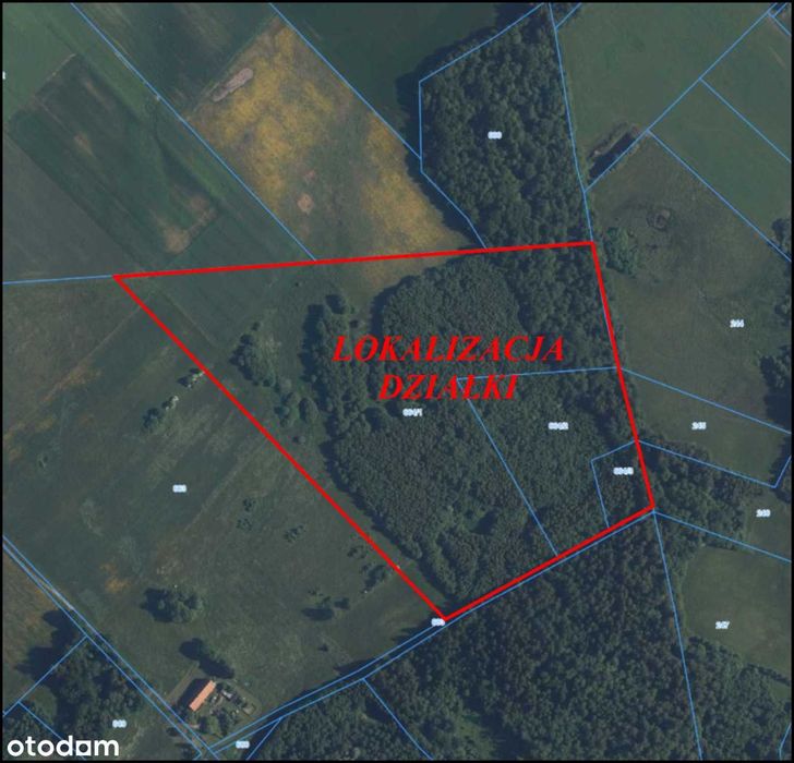 Działka rolna-potencjał rozwoju. Kamiennik Wielki gm.Milejewo 10,39ha