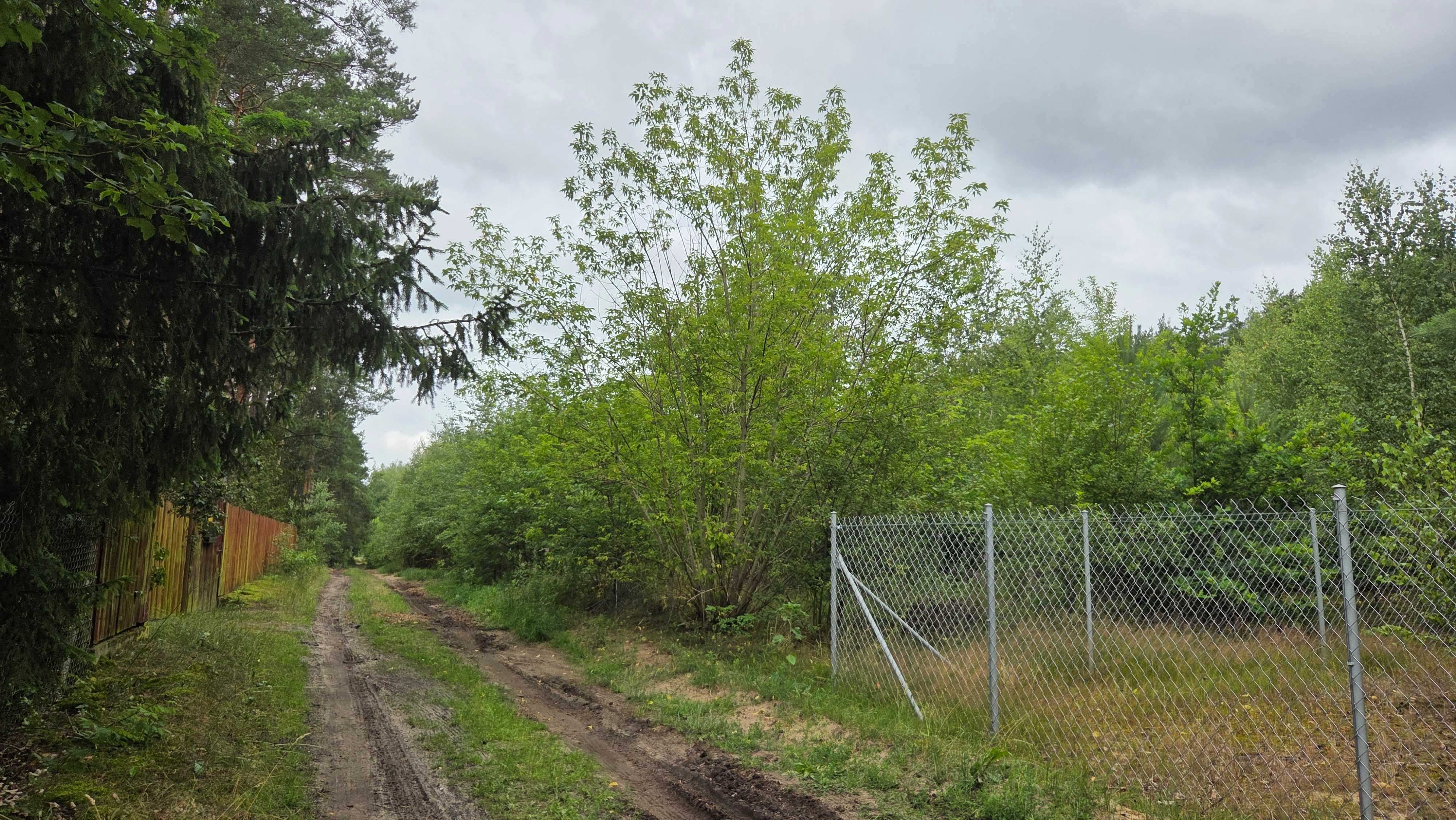 Działka nad Wkrą Królewo gm. Joniec