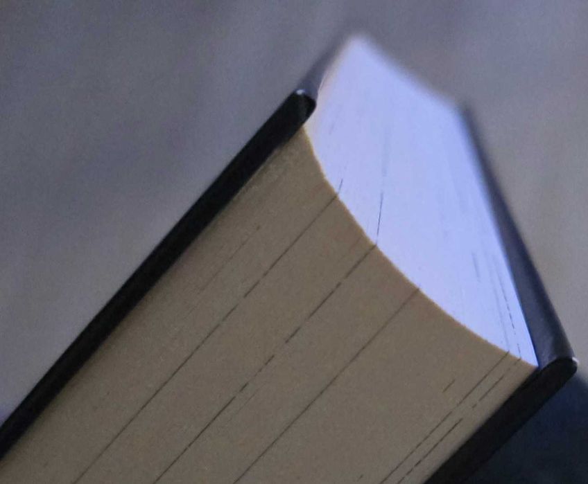 Cud. Miód. Malina. Kronika rodziny koźlaków książka Aneta Jadowska