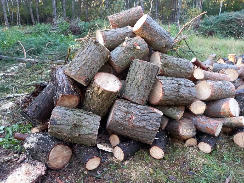 Drewno opałowe sosna wałki sosnowe na opał niesezonowane