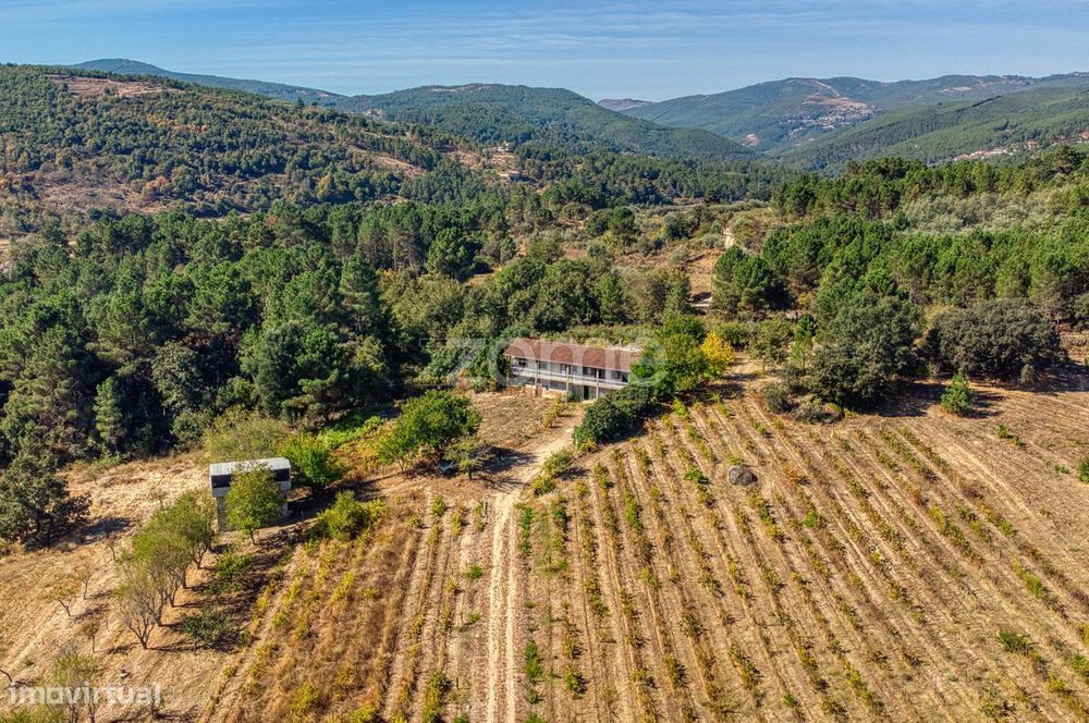 Quinta área total de 3.4 hectares em Vidago