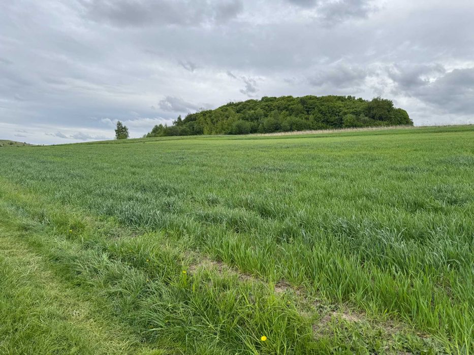 Продаж земельної ділянки с. Колоденка