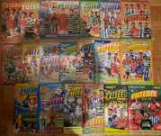 Cadernetas de cromos Nacional de Futebol da Panini
