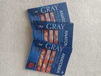 Anatomia Gray podręczniki REZERWACJA