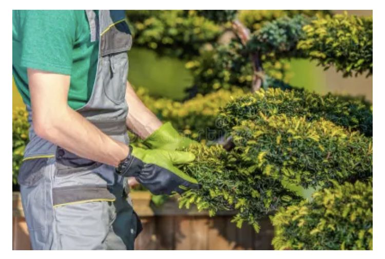 Садовник-выполняем все садовые работы