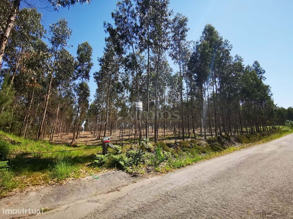 Terreno rústico, em Rates