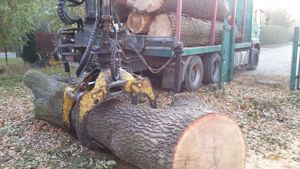 Wycinka drzew na terenie całej Warszawy i okolic