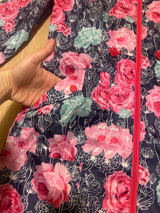 Вітровка, дощовик