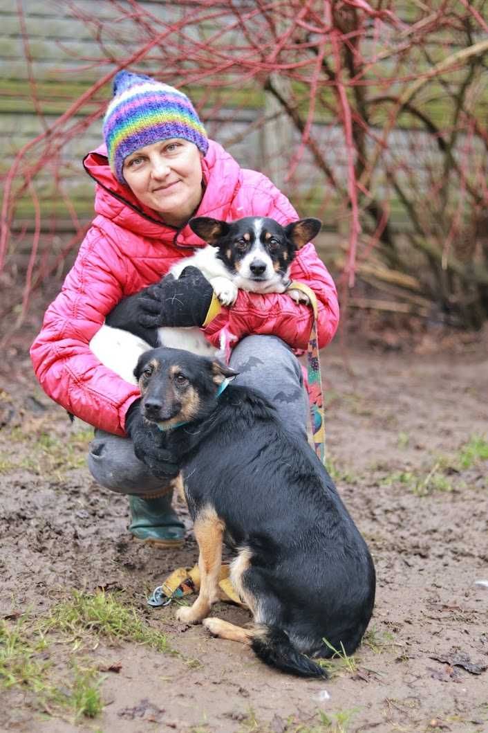 VINCENT - 10 lat, 10kg, lubi KOTY, spokojny, łagodny. [FILMIKI]