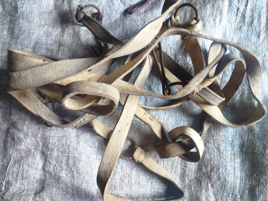 Оброті для упражі коня