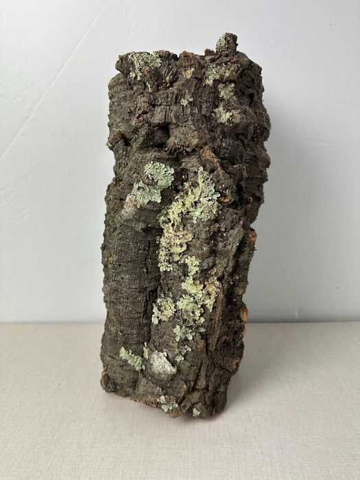 Tuba korkowa do terrarium nr4 ozdoba do terrarium gekon pająk agama