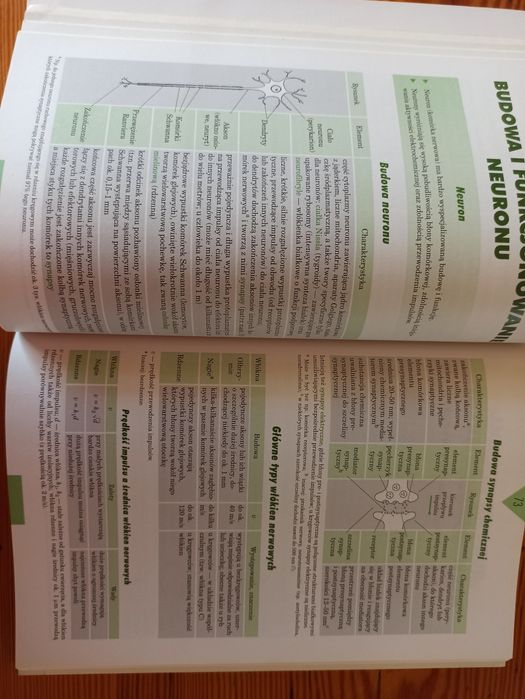 Tablice szkolne biologia adamantan