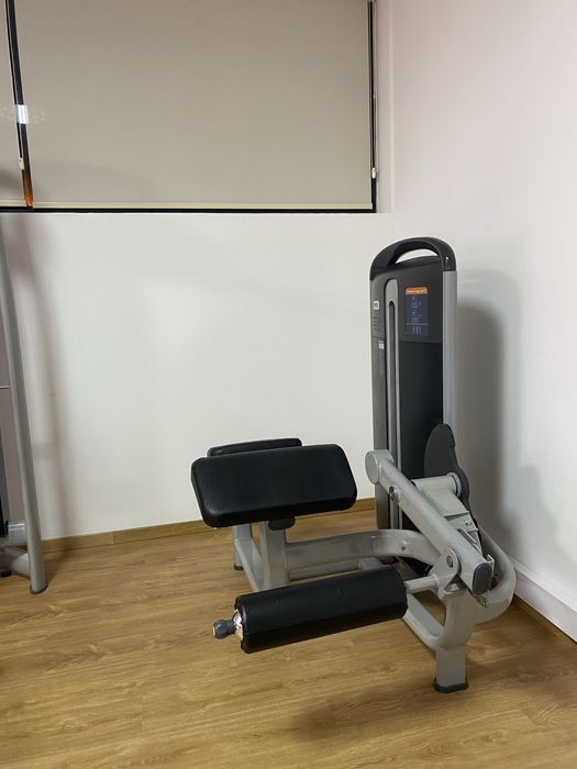 Leg crul/ mesa flexora