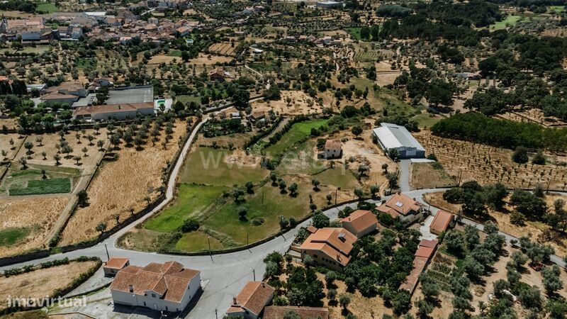 Quinta / Seia, Paranhos