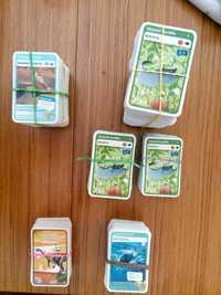 Cartas Fantasy Riders (2019), Pingo Doce (1,2 e 3, Super desportos)