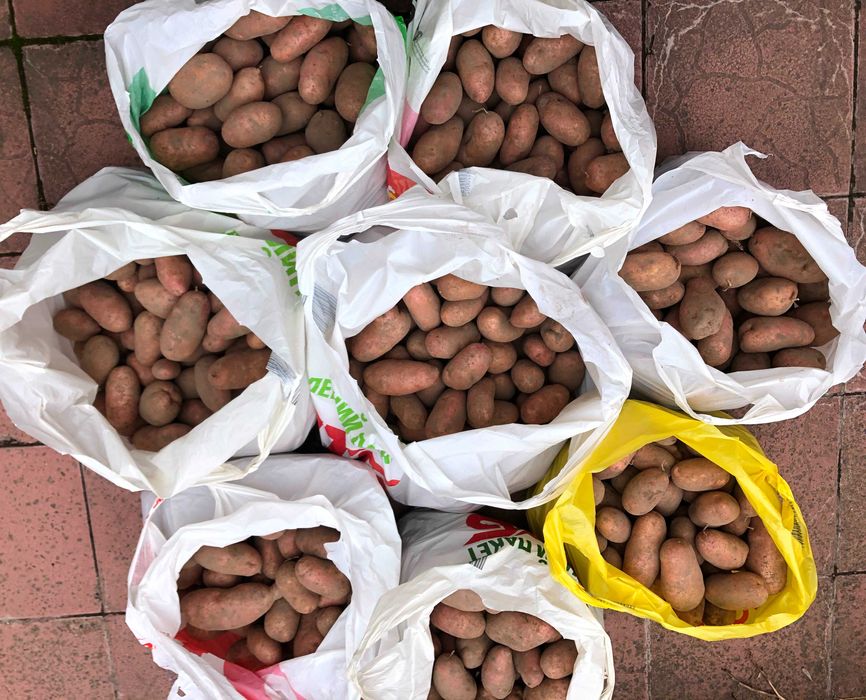 Картопля картошка картофель велика