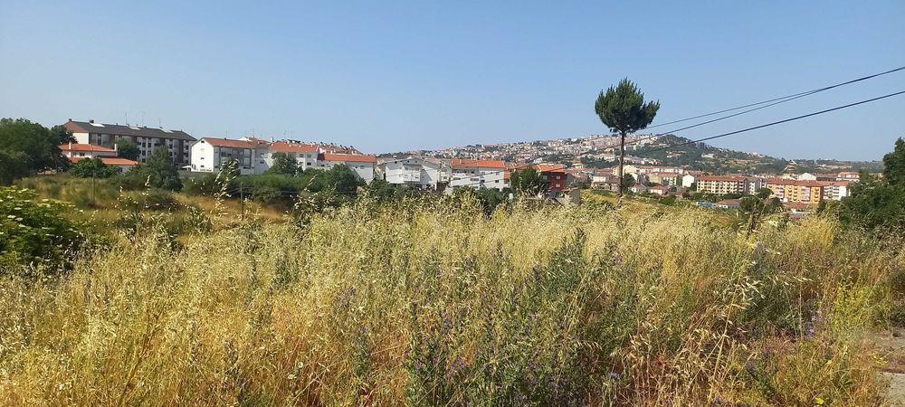 Terreno Urbano Guarda
