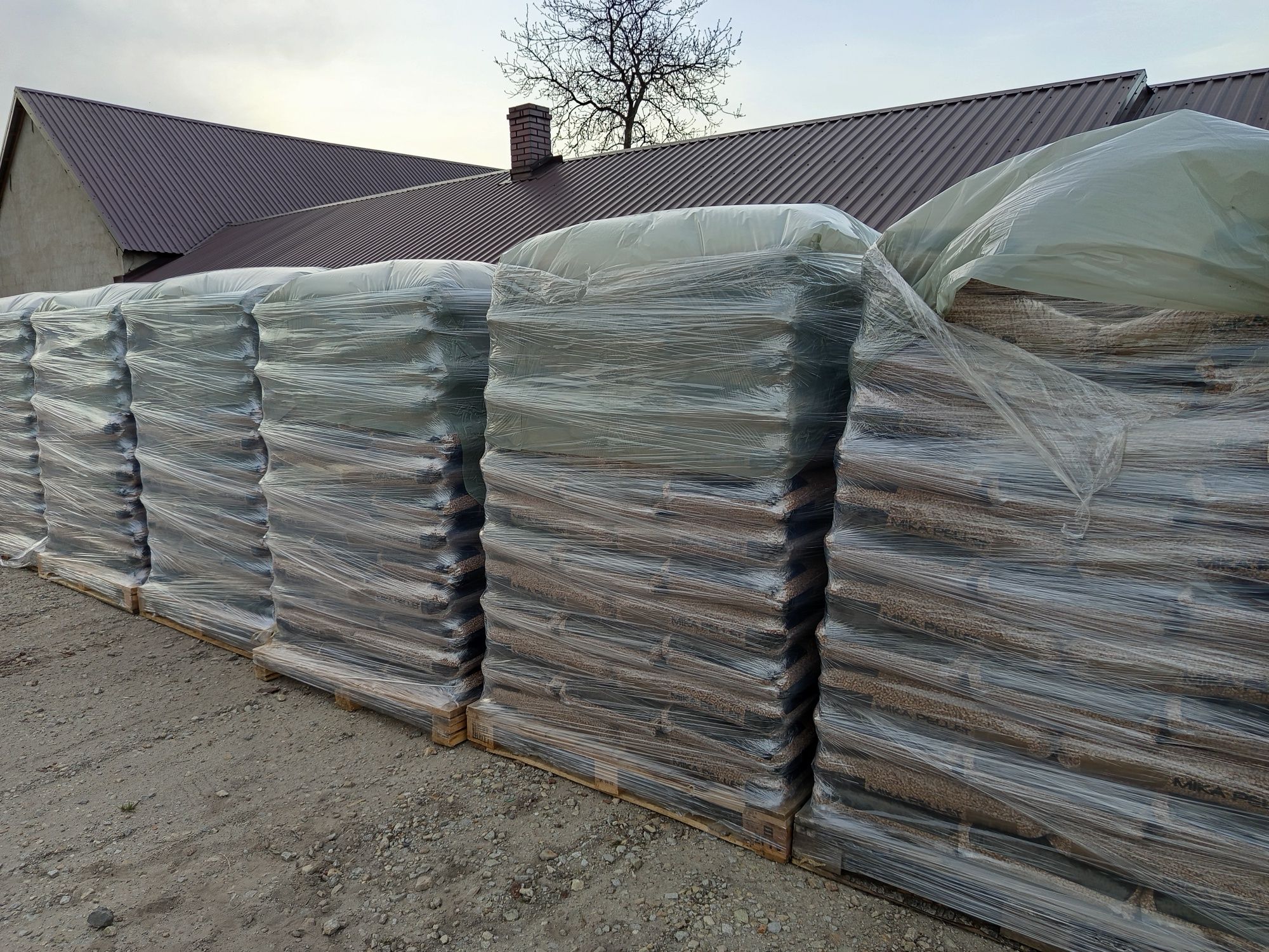 Pellet Sosnowy A1