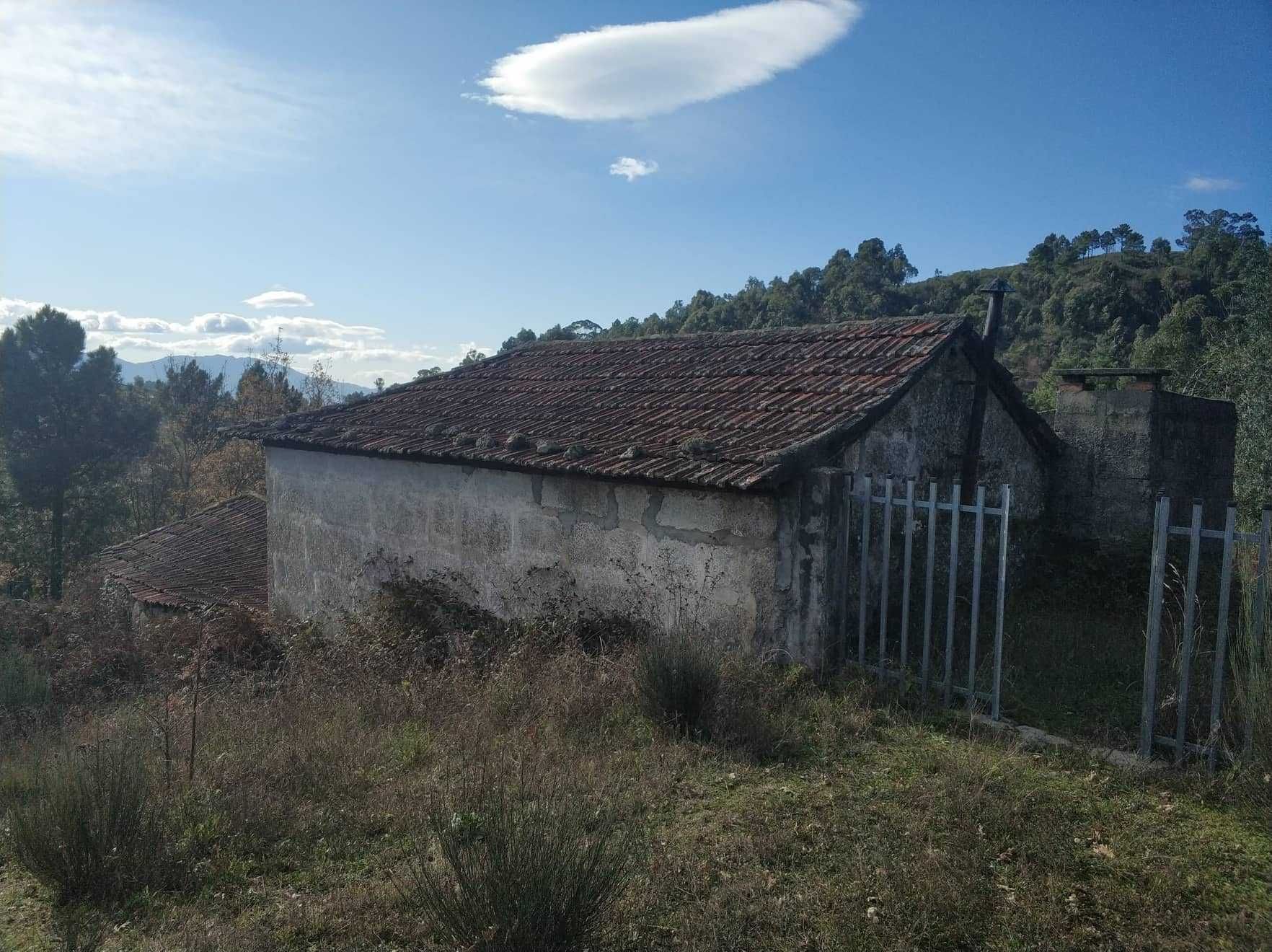 Quintinha em Baião (Grilo)