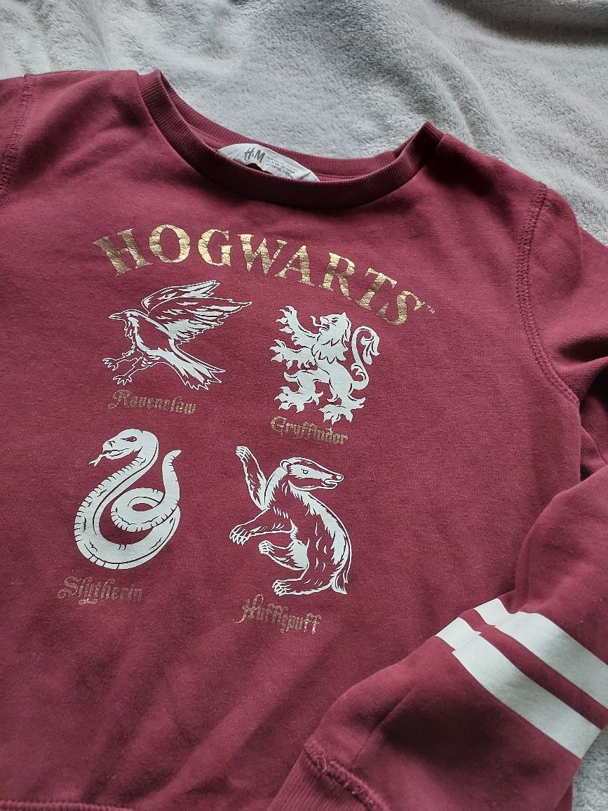 Bluza Harry Potter 134/140 h&m