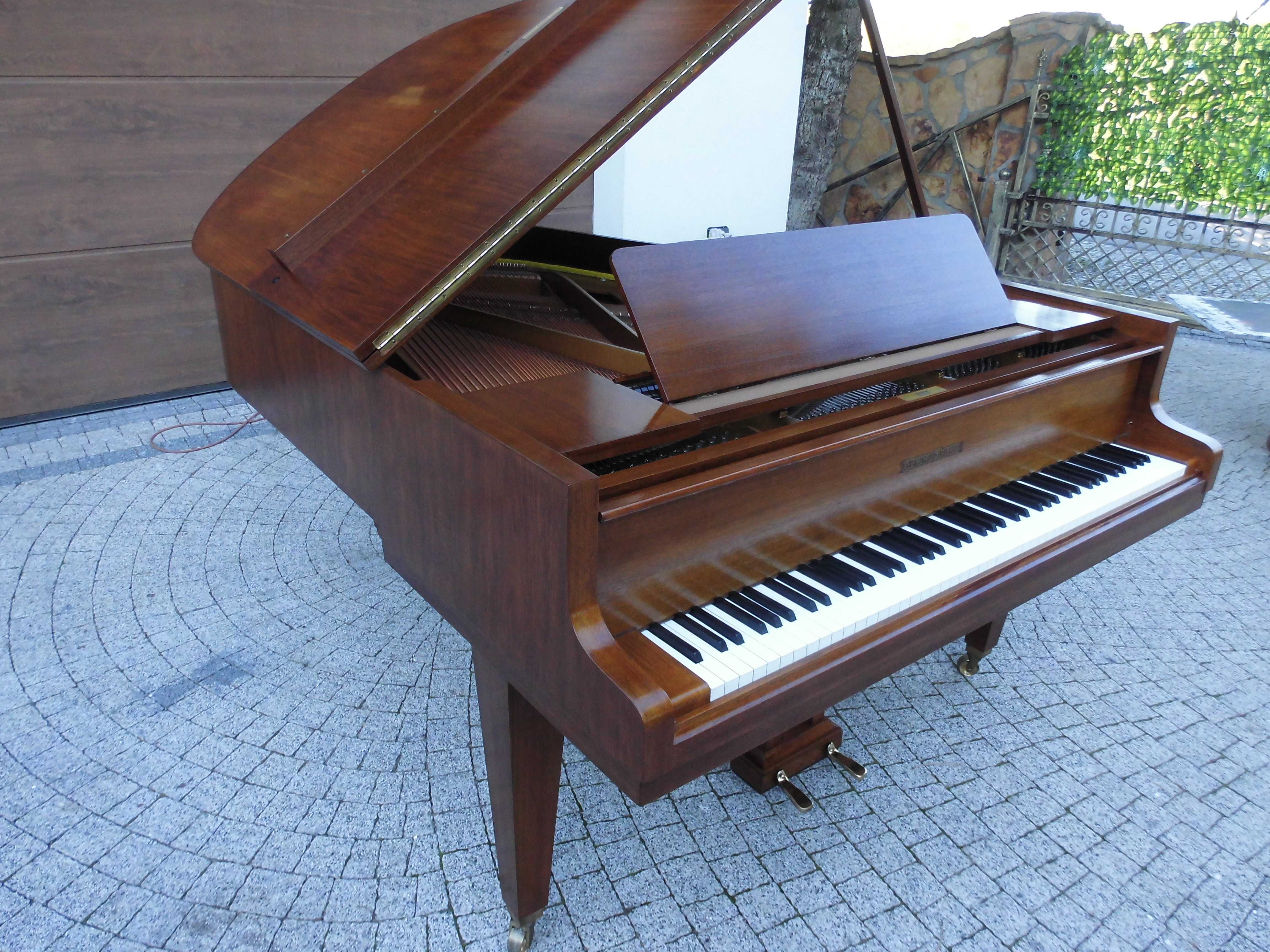 Grotrian Steinweg M185 renner Fortepian dla konesera Germany