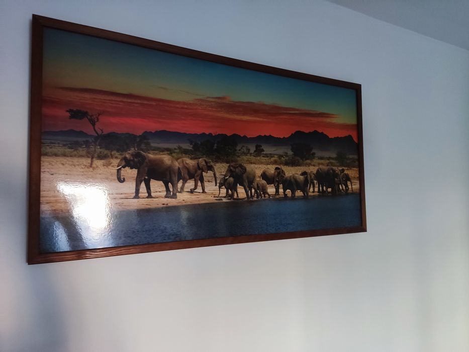 Piękny obraz Słonie nad wodą Duży 103x53 rama drewno