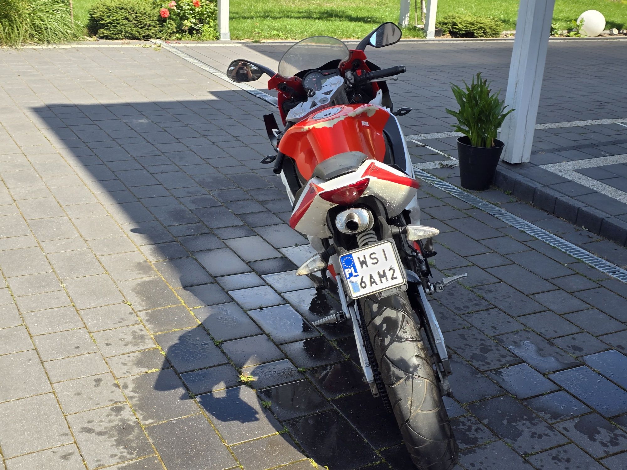 Aprilia rs50 2009