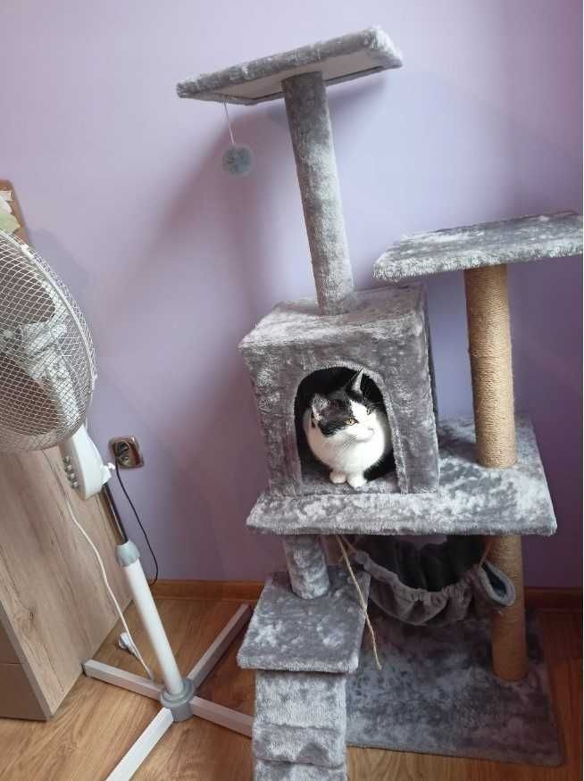 Wysoki szary drapak wieża budka legowisko dla kota zwierzęta domek