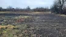 Здам віддам город 0.25га безкоштовно село Заруддя