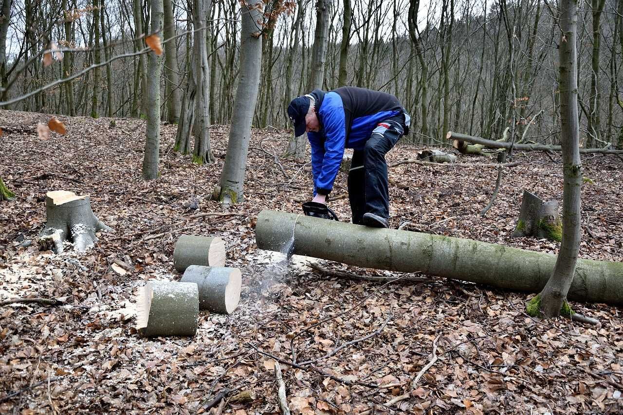 Koszenie trawników, pielęgnacja ogrodów, usługi rębakiem.