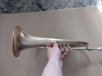 Flugelhorn mtp-f835x-custom