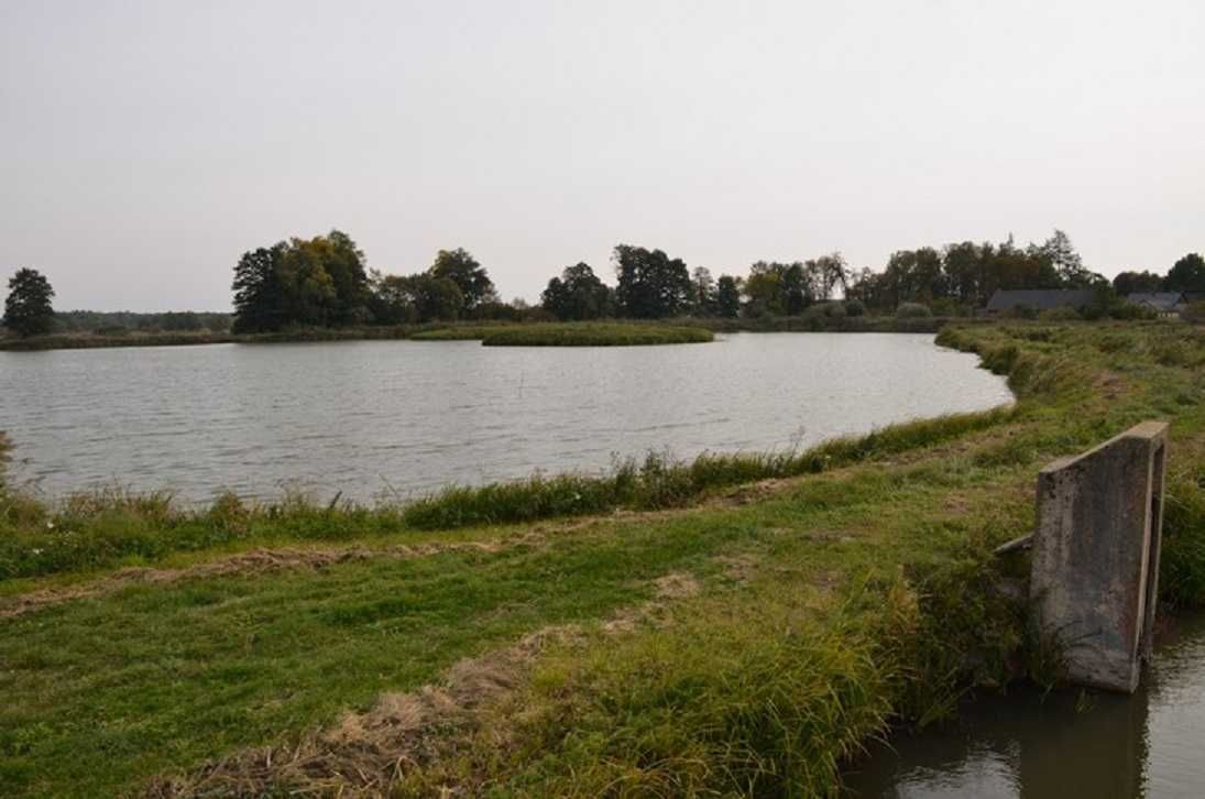 Stawy Hodowlane Gospodarstwo Rybackie Karpiowo Pstrągowe