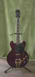 Gitara Epiphone Hollow Body Riviera
