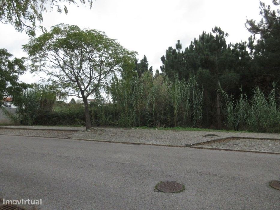 3 Lotes de terreno para construção