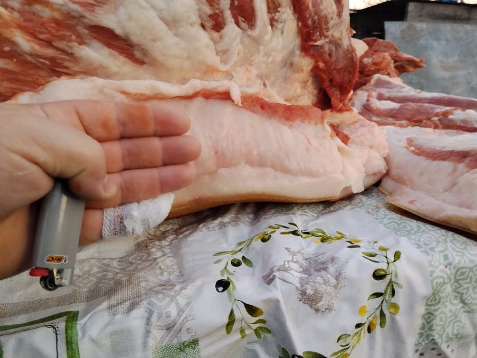 Сало мангалиці угорської